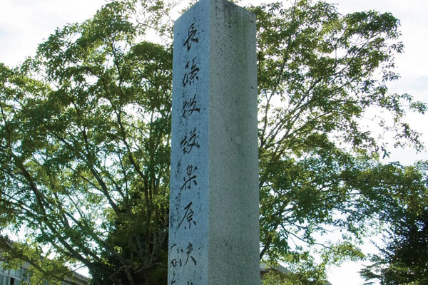 横須賀城址。髙天神城攻略の布石として馬伏塚城よりもさらに近い位置に家康は横須賀城を築いた