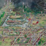 コラム　亀井玆矩と鹿野城